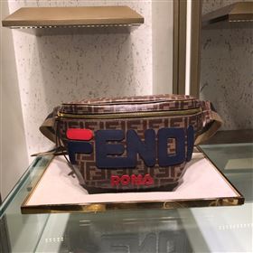 Fendi Belt Bag 243211