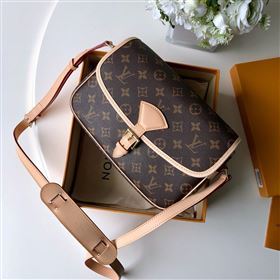 Louis Vuitton Sologne Shoulder Bag 251100