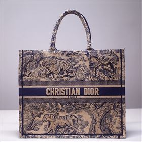 DIOR BOOK TOTE BAG 253979