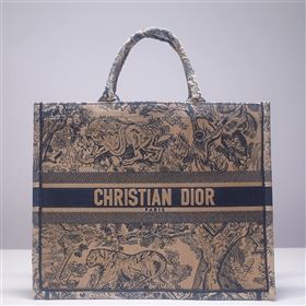 DIOR BOOK TOTE BAG 253980