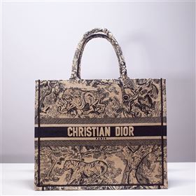 DIOR BOOK TOTE BAG 253930