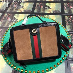 Gucci Ophidia Bag 262788
