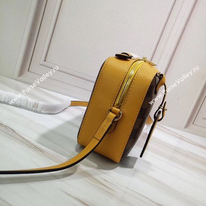 Louis Vuitton Damier Ebene Canvas 3D LV Santa Monica Bag N40178 Safran 2019 (gaoshang-9062020)