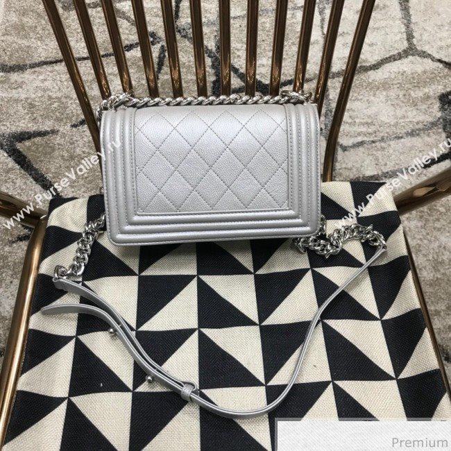 Chanel Camellia Small Boy Flap Bag A67085 Silver 2019 (JDH-9032517)