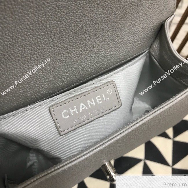 Chanel Camellia Small Boy Flap Bag A67085 Silver 2019 (JDH-9032517)