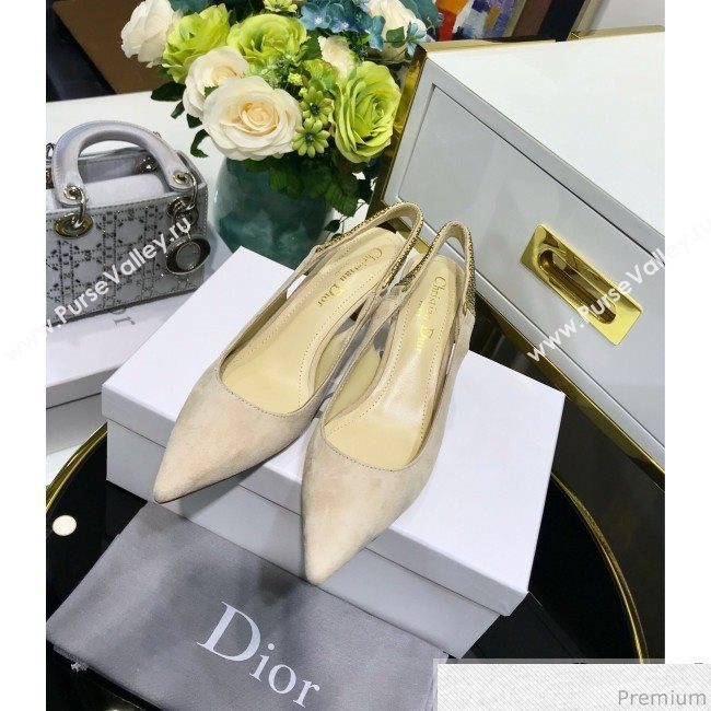 Dior Strassy Suede Crystal Slingback Heel Pump Light Grey 2019 (JINC-9032841)