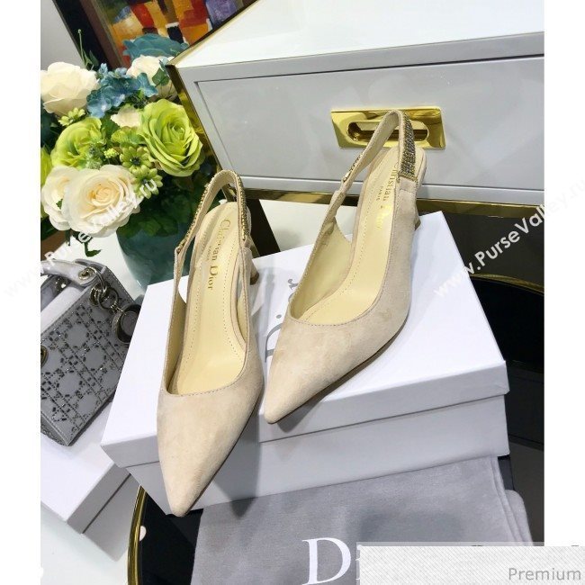 Dior Strassy Suede Crystal Slingback Heel Pump Light Grey 2019 (JINC-9032841)