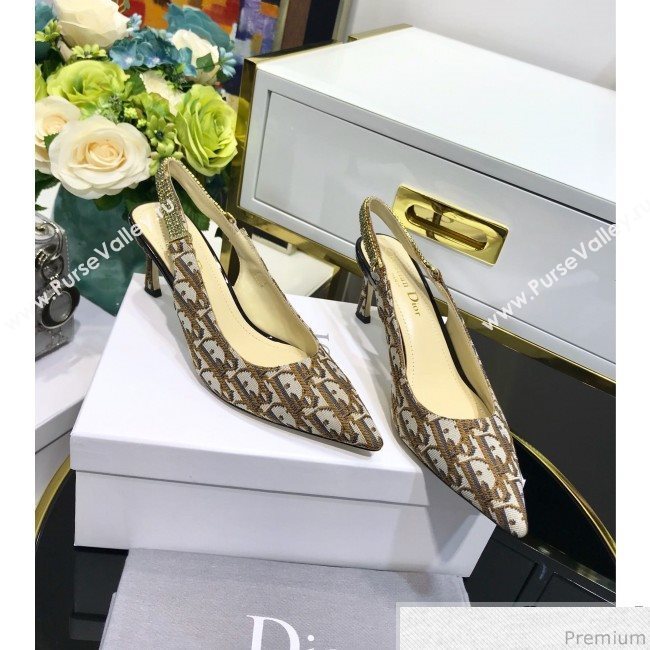 Dior Strassy Crystal Slingback Heel Pump in Coffee Oblique Canvas 2019 (JINC-9032844)