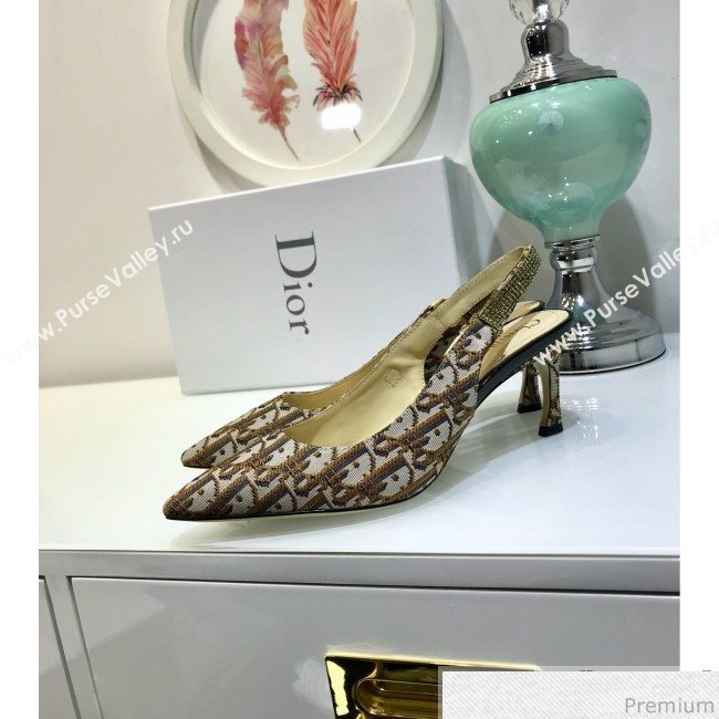 Dior Strassy Crystal Slingback Heel Pump in Coffee Oblique Canvas 2019 (JINC-9032844)