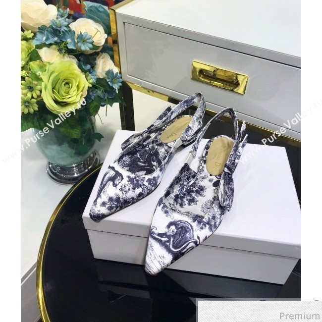 Dior Toile de Jouy Print Silk Slingback Ballet Blue 2019 (JINC-9032846)