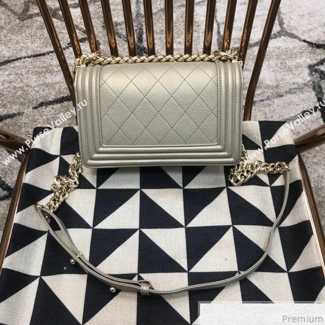 Chanel Camellia Small Boy Flap Bag A67085 Light Gray/Gold 2019 (JDH-9040319)