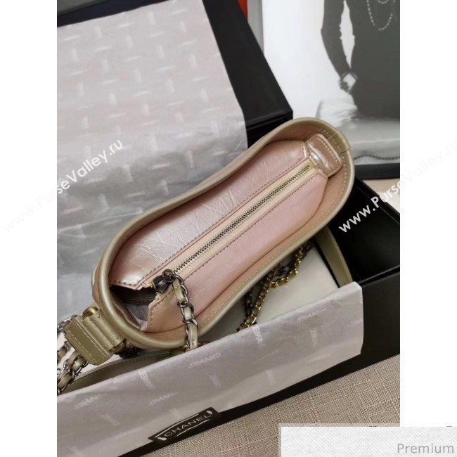 Chanel Iridescent Aged Calfskin Gabrielle Hobo Bag A93824 Pink 2019 (GANE-9040329)
