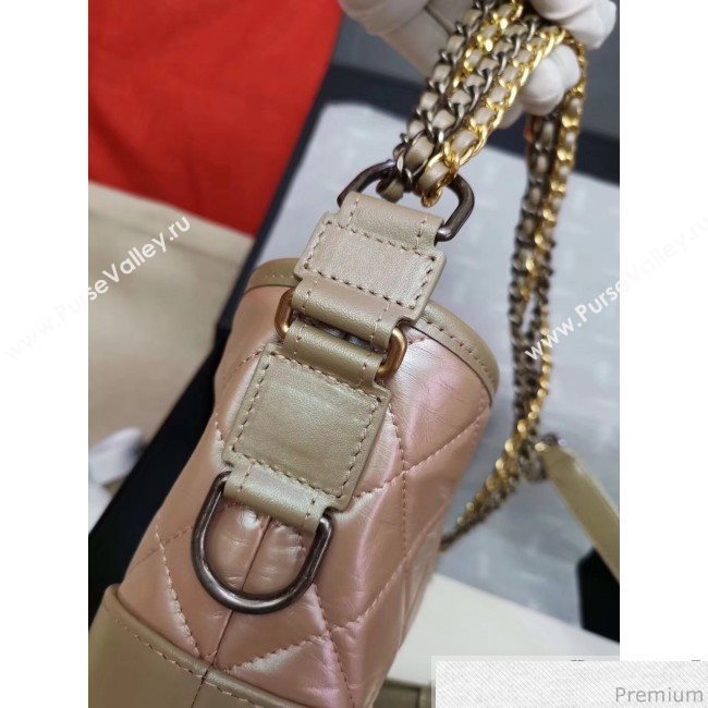 Chanel Iridescent Aged Calfskin Gabrielle Hobo Bag A93824 Pink 2019 (GANE-9040329)