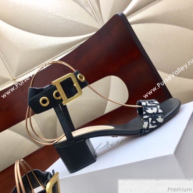 Dior D-Dior Mid-heel Sandals Blue Oblique Canvas 2019 (HZJ-9040458)