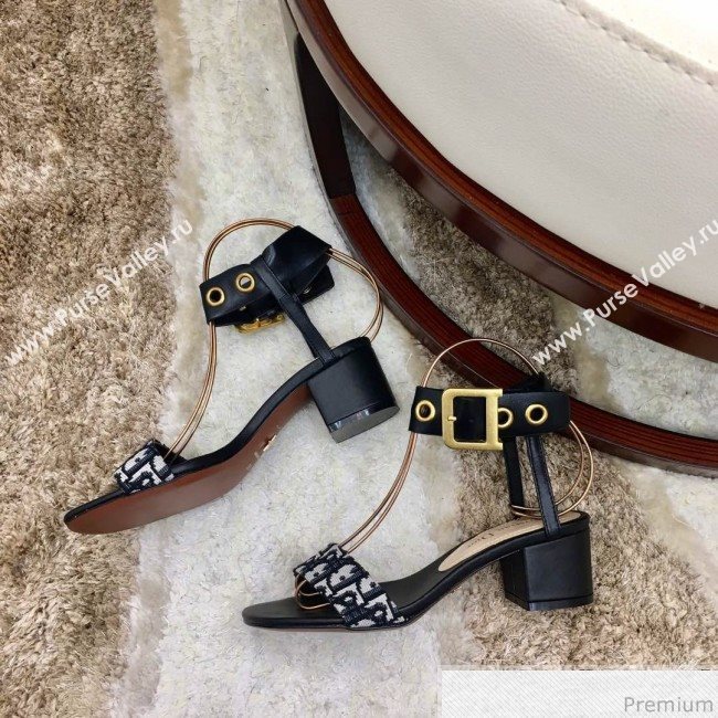 Dior D-Dior Mid-heel Sandals Blue Oblique Canvas 2019 (HZJ-9040458)