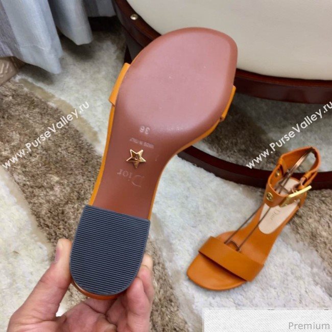 Dior D-Dior Mid-heel Sandals in Apricot Calfskin 2019 (HZJ-9040456)