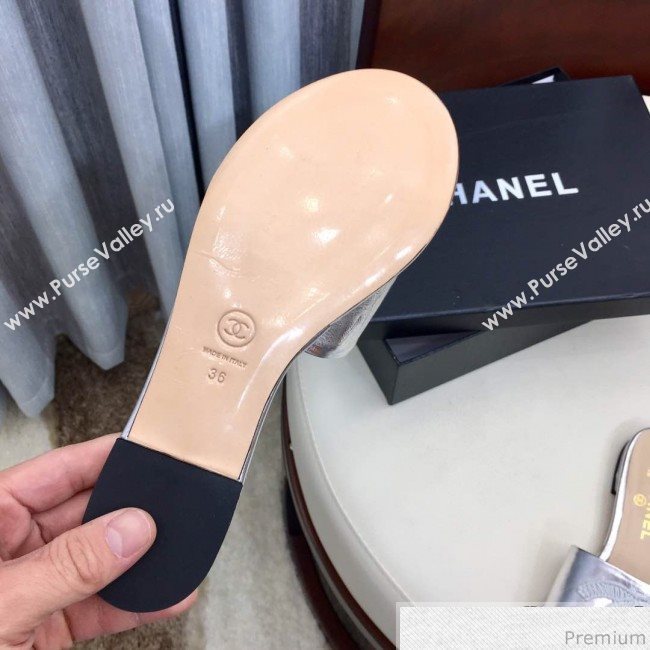 Chanel Flat Mules Sandals G34682 Silver 2019 (HZJ-9040824)