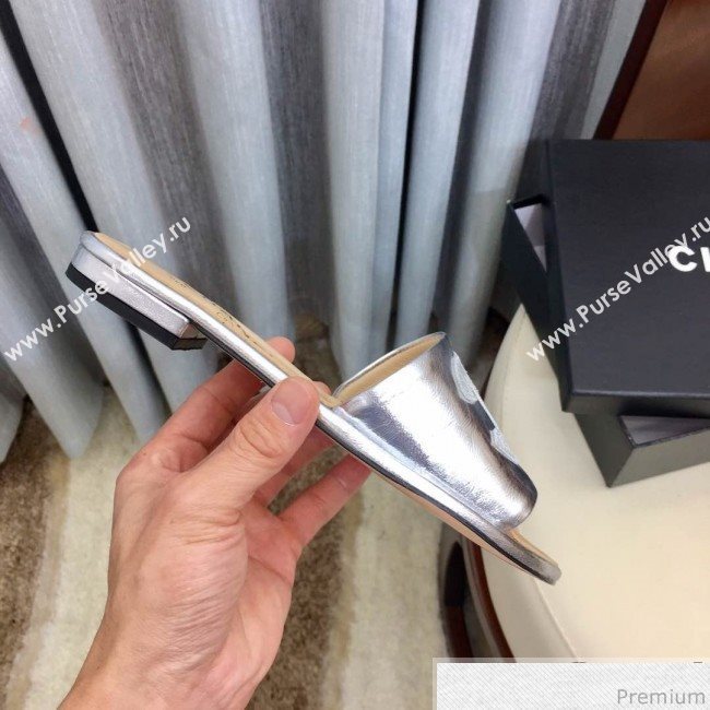 Chanel Flat Mules Sandals G34682 Silver 2019 (HZJ-9040824)