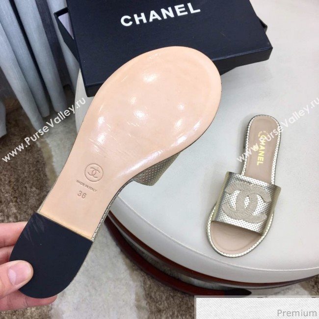 Chanel Perforated Flat Mules Sandals G34682 Light Gold 2019 (HZJ-9040825)
