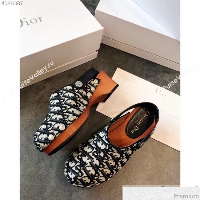 Dior Walk"NDior Slingbacks Mules in Blue Oblique Canvas 2019 (EM-9040434)