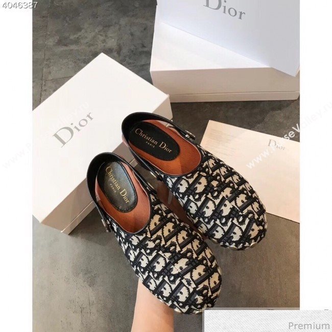 Dior Walk"NDior Slingbacks Mules in Blue Oblique Canvas 2019 (EM-9040434)