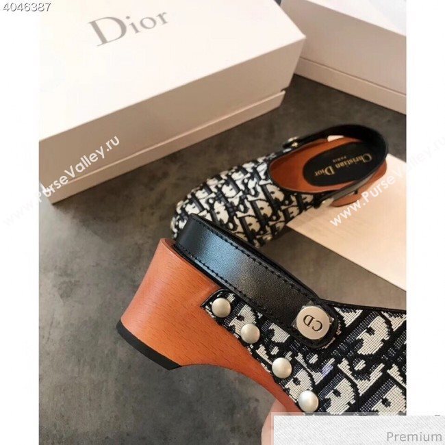 Dior Walk"NDior Slingbacks Mules in Blue Oblique Canvas 2019 (EM-9040434)
