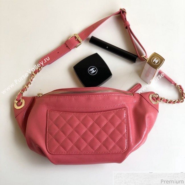 Chanel Act 2 Zip Waist/Belt Bag A57832 Pink 2019 (YD-9031403)