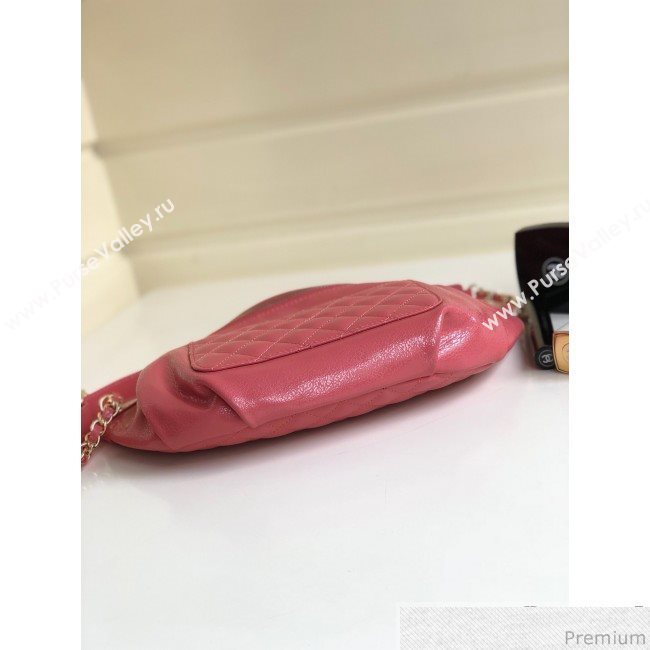 Chanel Act 2 Zip Waist/Belt Bag A57832 Pink 2019 (YD-9031403)