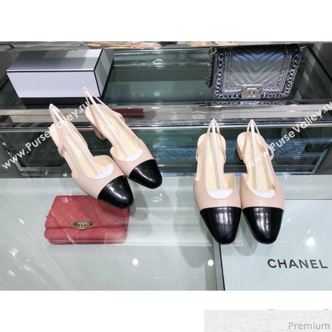 Chanel Heel Slingbacks Ballerina G31319 Black 2019 (XO-9041623)
