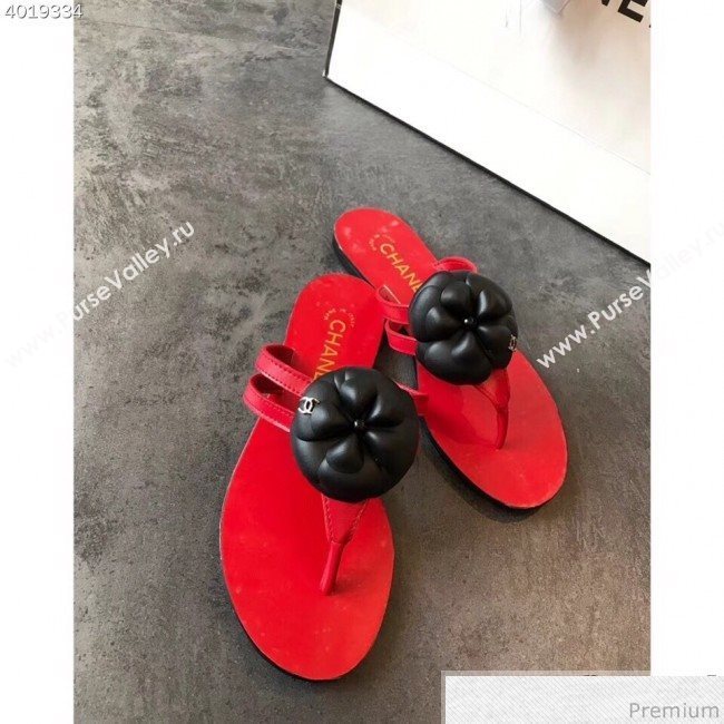 Chanel Flat Thong Sandals with Black Camellia Red 2019 (EM-9031909)