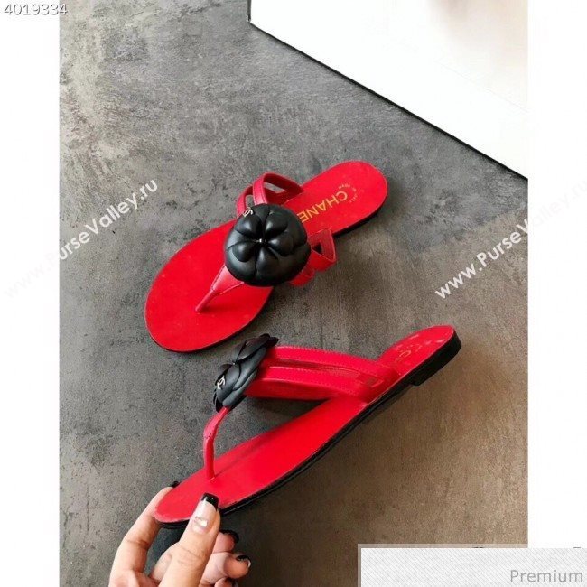 Chanel Flat Thong Sandals with Black Camellia Red 2019 (EM-9031909)