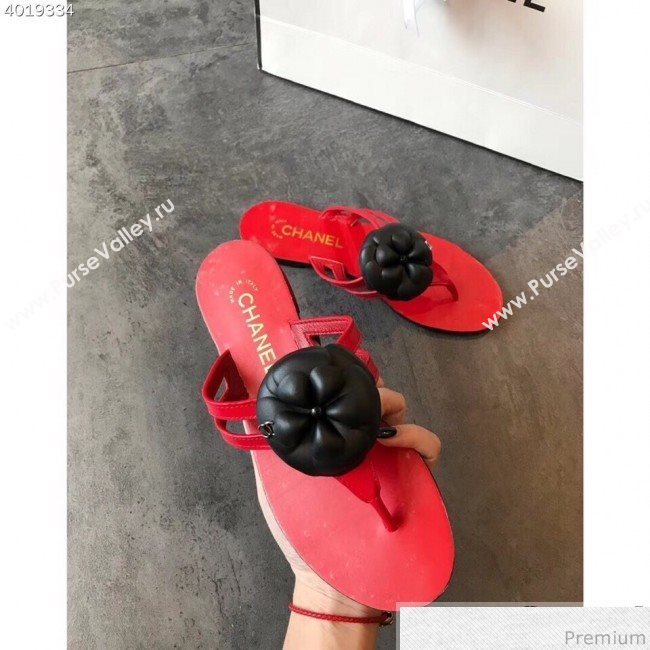 Chanel Flat Thong Sandals with Black Camellia Red 2019 (EM-9031909)