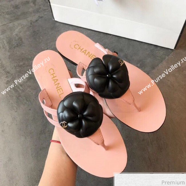 Chanel Flat Thong Sandals with Black Camellia Pink 2019 (EM-9031910)