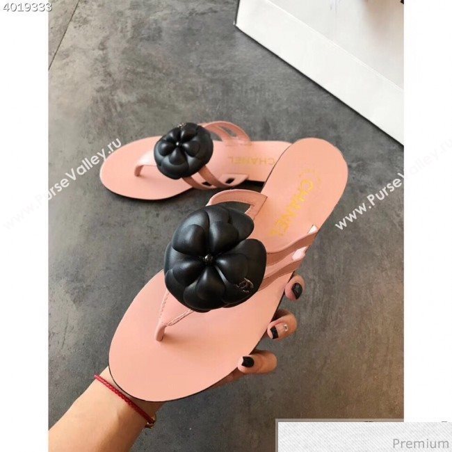 Chanel Flat Thong Sandals with Black Camellia Pink 2019 (EM-9031910)