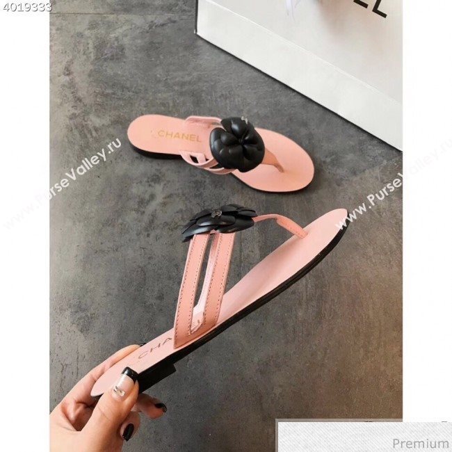 Chanel Flat Thong Sandals with Black Camellia Pink 2019 (EM-9031910)