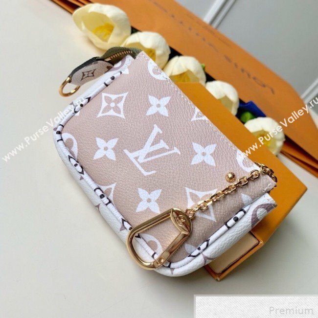 Louis Vuitton Micro Pochette Accessoires Pouch M67579 (FANG-9042602)