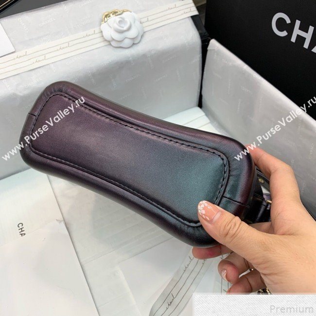 Chanel Small Iridescent Aged Calfskin Gabrielle Hobo Bag A91810 2019 (PPP-9043005)