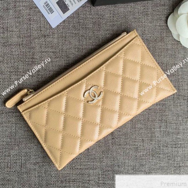 Chanel Iridescent Grained Calfskin Pouch Beige 2019 (SSZ-9050924)