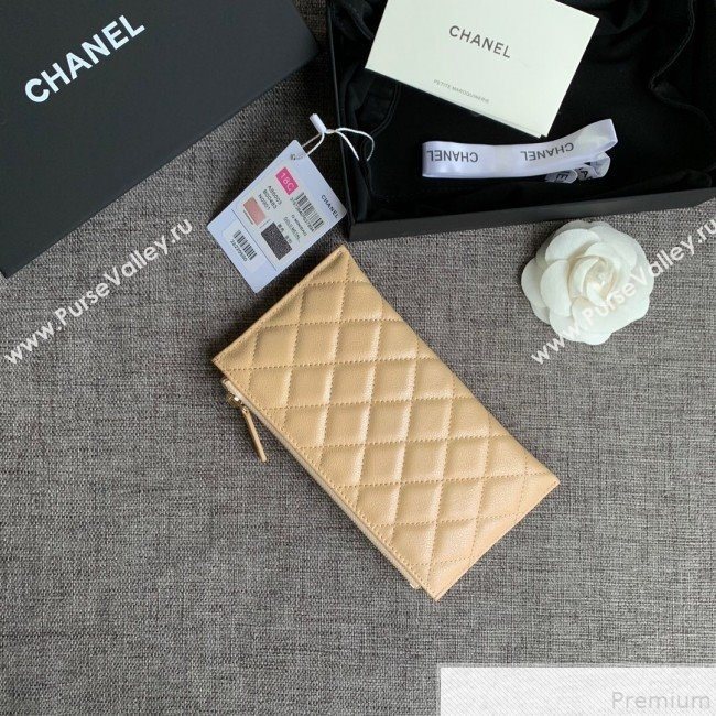 Chanel Iridescent Grained Calfskin Pouch Beige 2019 (SSZ-9050924)