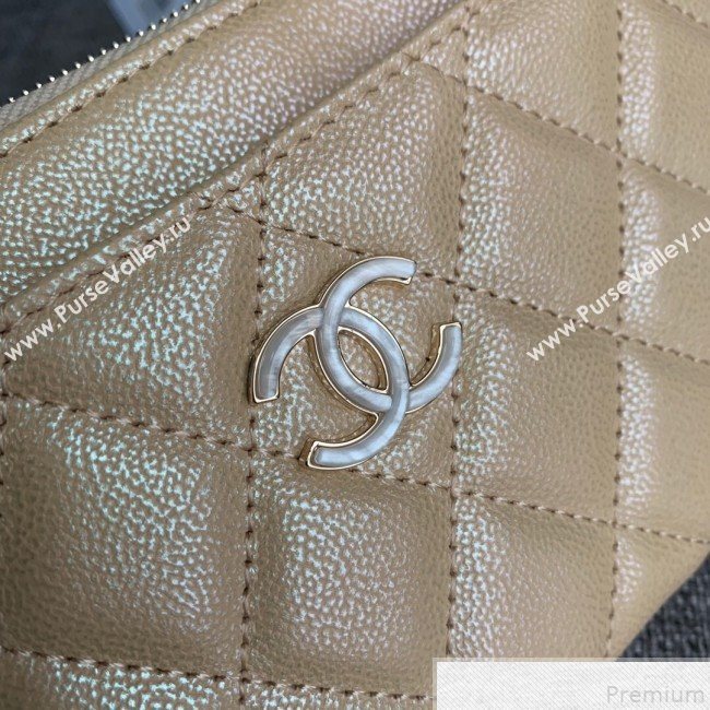 Chanel Iridescent Grained Calfskin Pouch Beige 2019 (SSZ-9050924)
