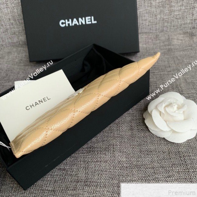 Chanel Iridescent Grained Calfskin Pouch Beige 2019 (SSZ-9050924)
