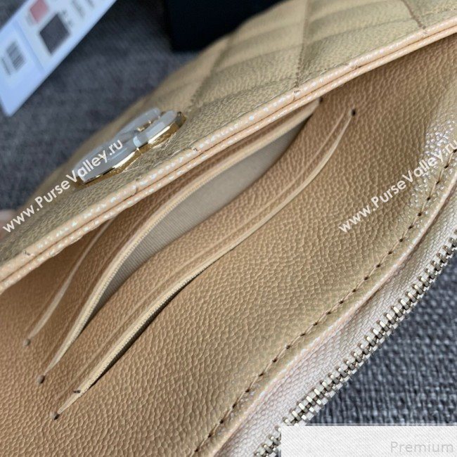Chanel Iridescent Grained Calfskin Pouch Beige 2019 (SSZ-9050924)