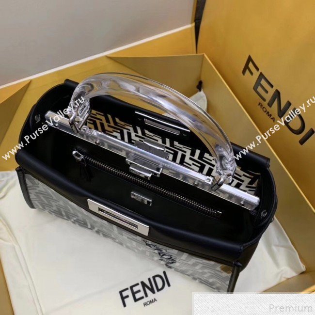 Fendi Transparent Peekaboo Regular Top Handle Bag Black 2019 (AFEI-9051001)