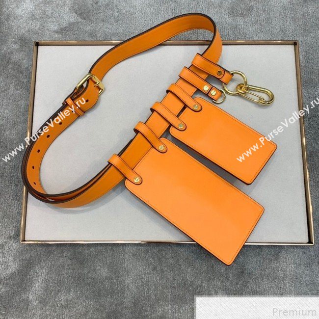 Fendi Multi-accessory Pocket Belt Bag Orange 2019 (AFEI-9051015)