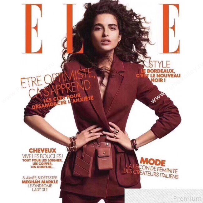 Fendi Multi-accessory Pocket Belt Bag Brown 2019 (AFEI-9051017)