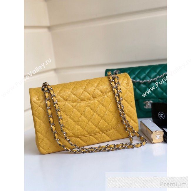 Chanel Medium Iridescent Quilted Coarse Grained Leather Classic Flap Bag Yellow 2019 (YD-9061454)