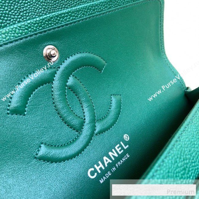 Chanel Medium Iridescent Quilted Coarse Grained Leather Classic Flap Bag Green 2019 (YD-9061456)