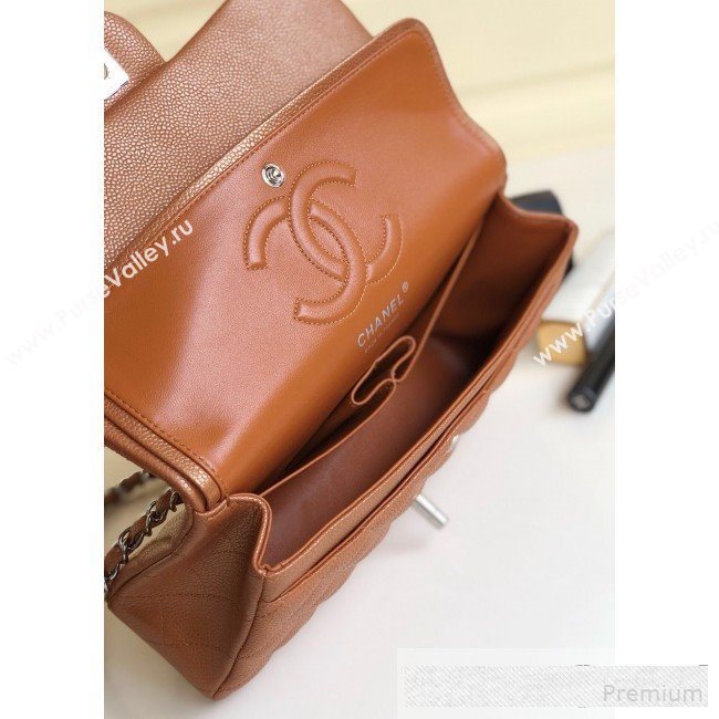 Chanel Medium Iridescent Quilted Coarse Grained Leather Classic Flap Bag Brown/Silver 2019 (YD-9061458)