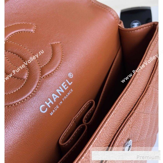 Chanel Medium Iridescent Quilted Coarse Grained Leather Classic Flap Bag Brown/Silver 2019 (YD-9061458)