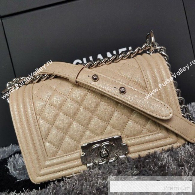 Chanel Iridescent Quilted Grained Leather Classic Small Boy Flap Bag Beige/Silver 2019 (FM-9061524)